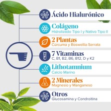 ARKOFLEX COLAGENO TOTAL 1 ENVASE 390 G SABOR NARANJA